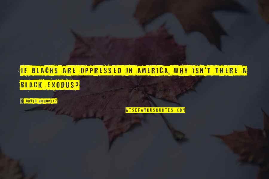 Go Team Motivational Quotes By David Horowitz: If blacks are oppressed in America, why isn't
