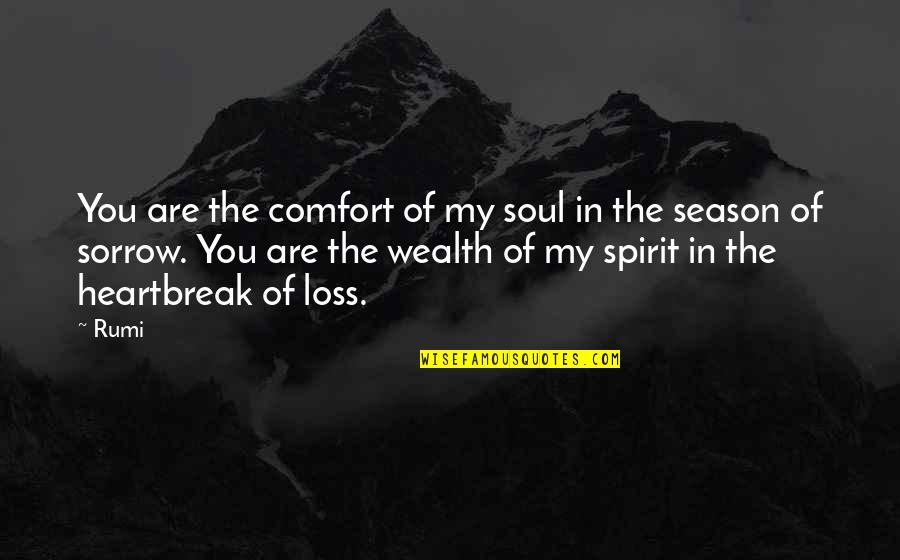 Go Texans Quotes By Rumi: You are the comfort of my soul in