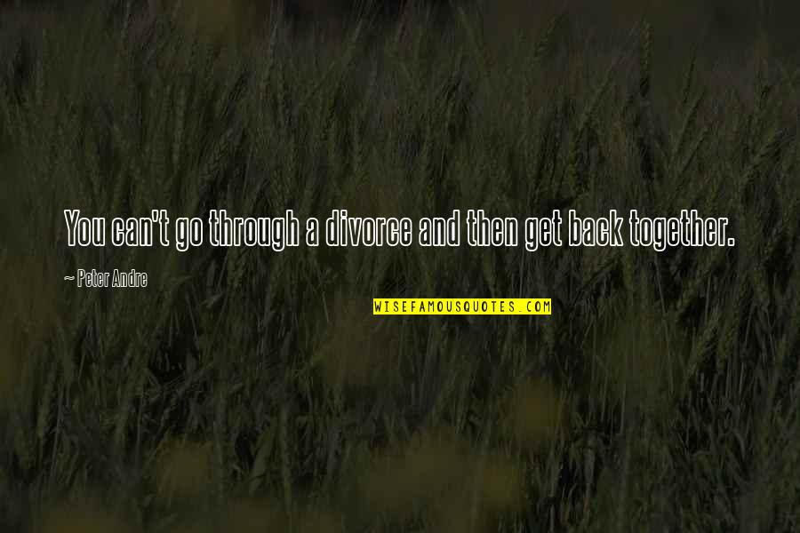 Go Through Back Quotes By Peter Andre: You can't go through a divorce and then