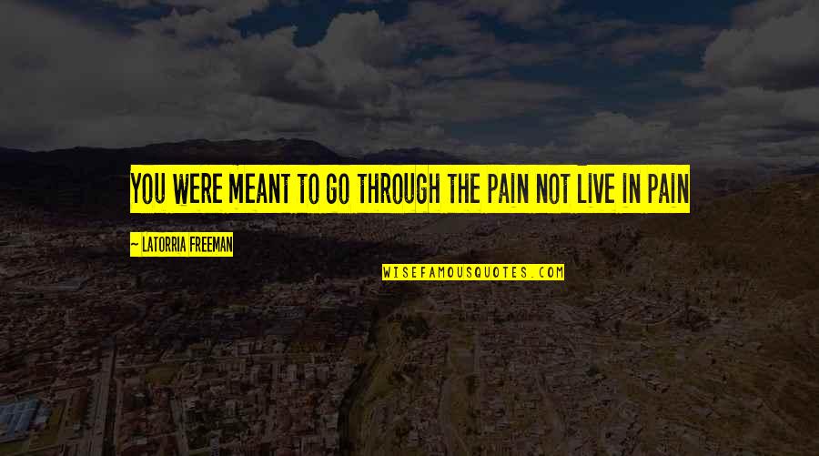 Go Through The Pain Quotes By Latorria Freeman: You were meant to go through the pain