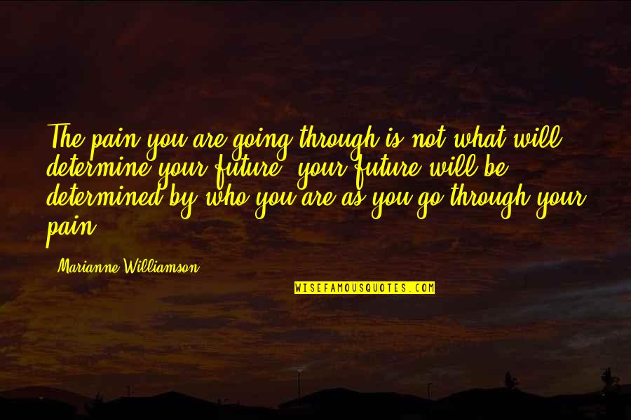 Go Through The Pain Quotes By Marianne Williamson: The pain you are going through is not