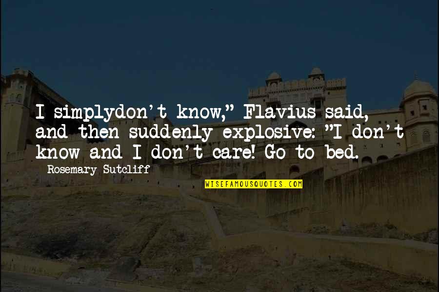 Go To Bed Quotes By Rosemary Sutcliff: I simplydon't know," Flavius said, and then suddenly