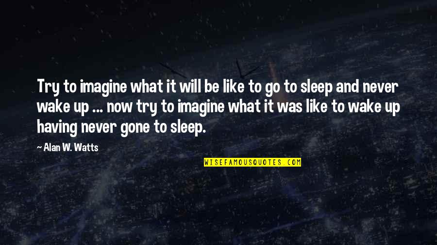 Go To Sleep Quotes By Alan W. Watts: Try to imagine what it will be like