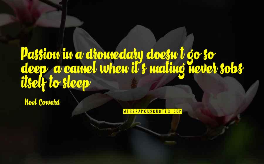 Go To Sleep Quotes By Noel Coward: Passion in a dromedary doesn't go so deep;