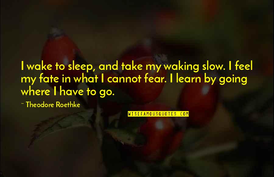 Go To Sleep Quotes By Theodore Roethke: I wake to sleep, and take my waking