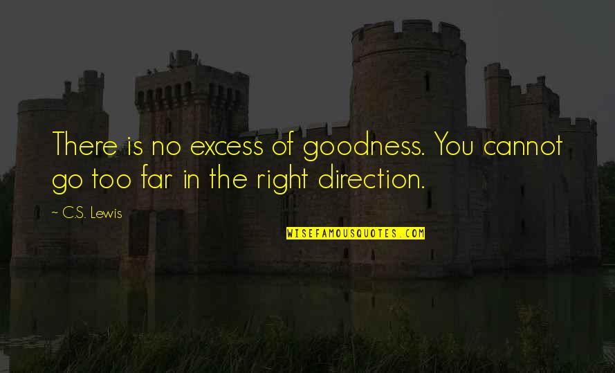 Go Too Far Quotes By C.S. Lewis: There is no excess of goodness. You cannot