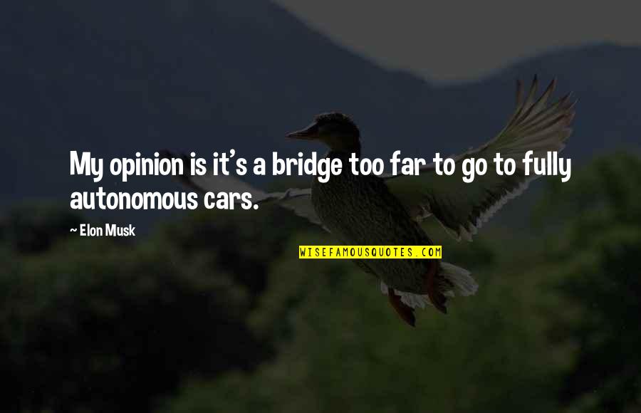 Go Too Far Quotes By Elon Musk: My opinion is it's a bridge too far