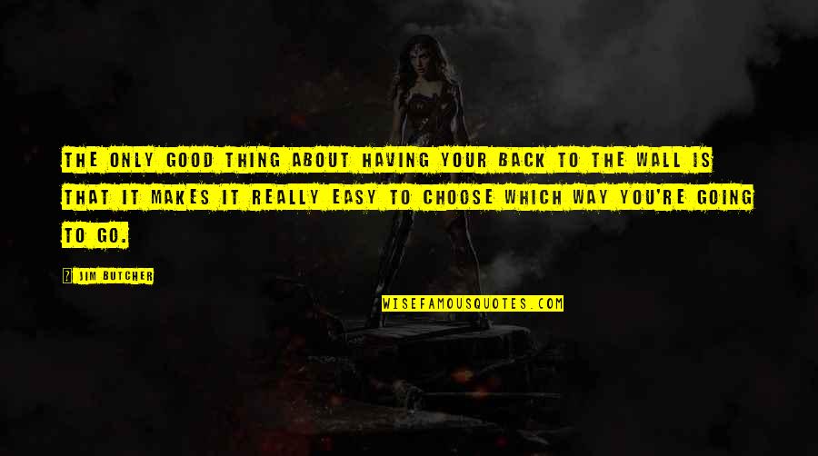 Go Way Back Quotes By Jim Butcher: The only good thing about having your back