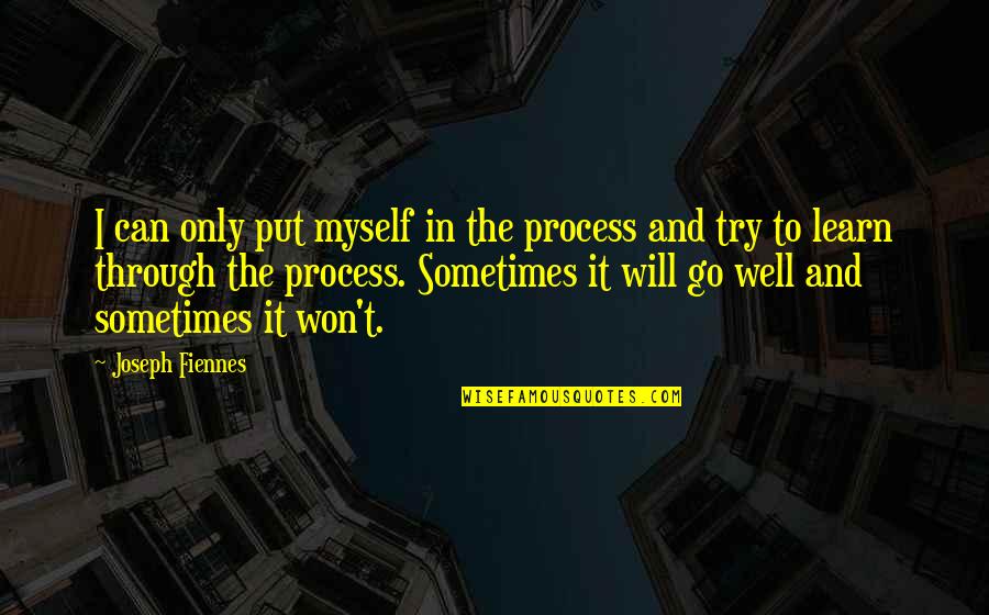 Go Well Quotes By Joseph Fiennes: I can only put myself in the process