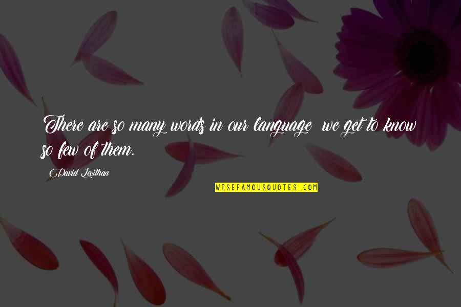 Goa Trip Quotes By David Levithan: There are so many words in our language;