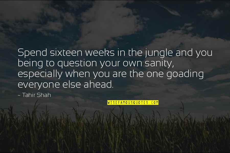 Goading Quotes By Tahir Shah: Spend sixteen weeks in the jungle and you Goading Quotes By Tahir Shah: Spend sixteen weeks in the jungle and you