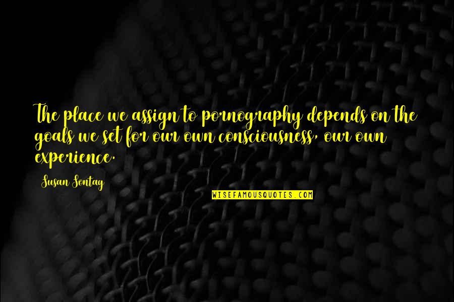 Goal On Quotes By Susan Sontag: The place we assign to pornography depends on