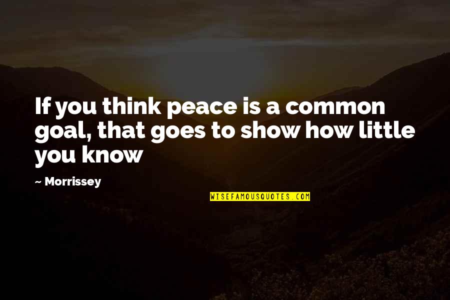 Goal" Quotes By Morrissey: If you think peace is a common goal,