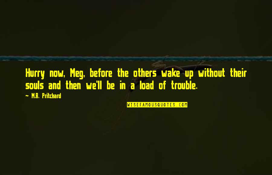 Goal The Impossible Dream Quotes By M.R. Pritchard: Hurry now, Meg, before the others wake up Goal The Impossible Dream Quotes By M.R. Pritchard: Hurry now, Meg, before the others wake up