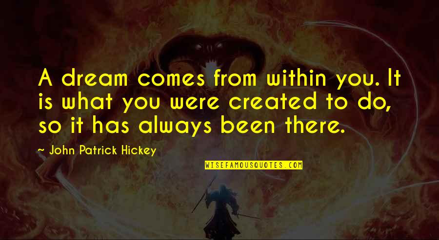 Goal To Success Quotes By John Patrick Hickey: A dream comes from within you. It is