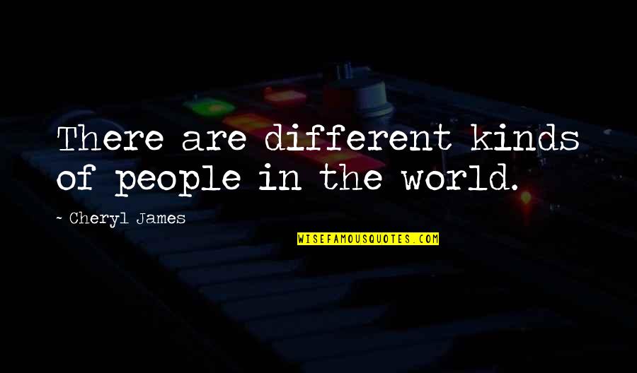 Goals 2019 Quotes By Cheryl James: There are different kinds of people in the Goals 2019 Quotes By Cheryl James: There are different kinds of people in the