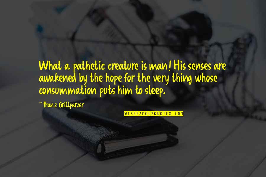 Goals 2019 Quotes By Franz Grillparzer: What a pathetic creature is man! His senses Goals 2019 Quotes By Franz Grillparzer: What a pathetic creature is man! His senses
