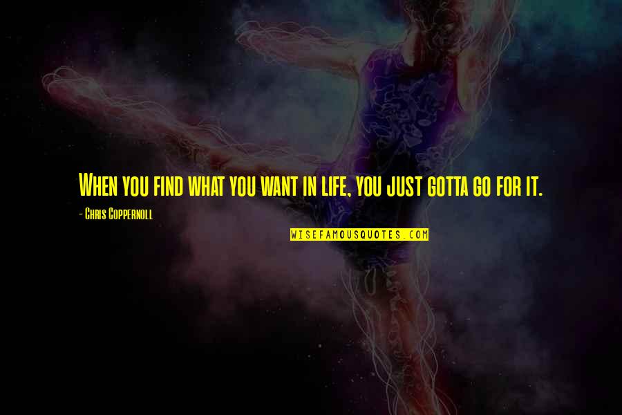 Goals And Dreams In Life Quotes By Chris Coppernoll: When you find what you want in life,