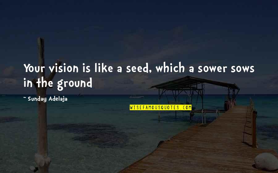 Goals And Vision Quotes By Sunday Adelaja: Your vision is like a seed, which a Goals And Vision Quotes By Sunday Adelaja: Your vision is like a seed, which a
