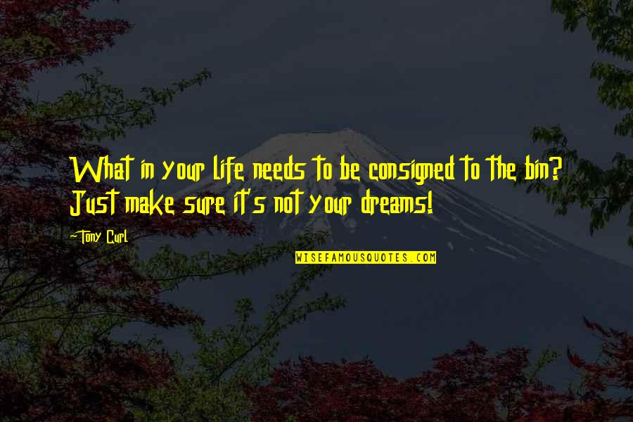 Goals In Life Quotes By Tony Curl: What in your life needs to be consigned