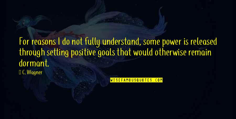 Goals Setting Quotes By C. Wagner: For reasons I do not fully understand, some