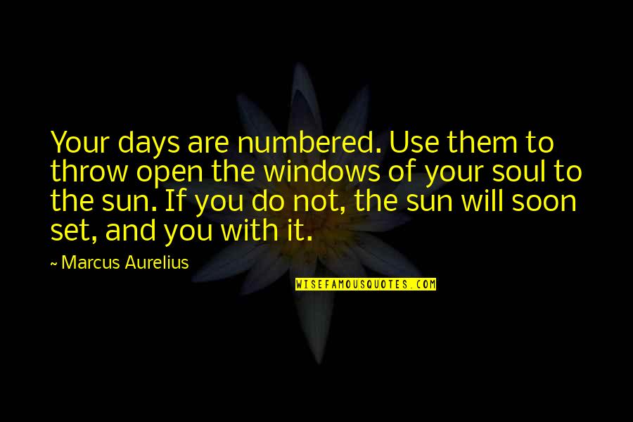 Goals To Set Quotes By Marcus Aurelius: Your days are numbered. Use them to throw