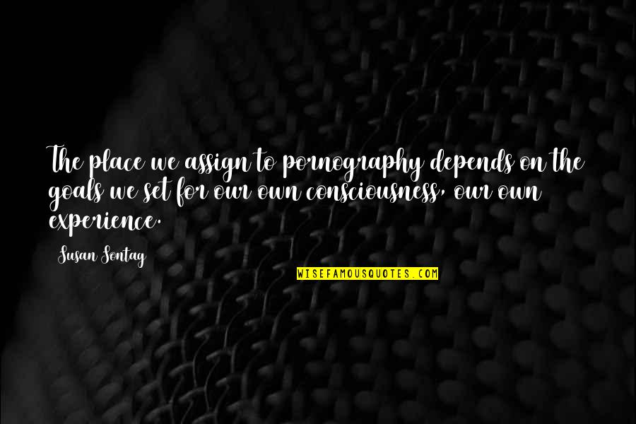 Goals To Set Quotes By Susan Sontag: The place we assign to pornography depends on