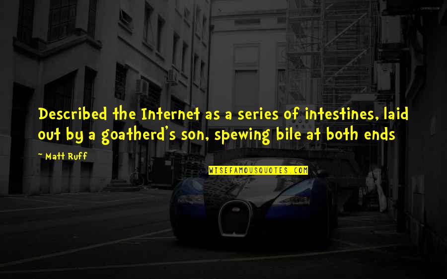 Goatherd Quotes By Matt Ruff: Described the Internet as a series of intestines,