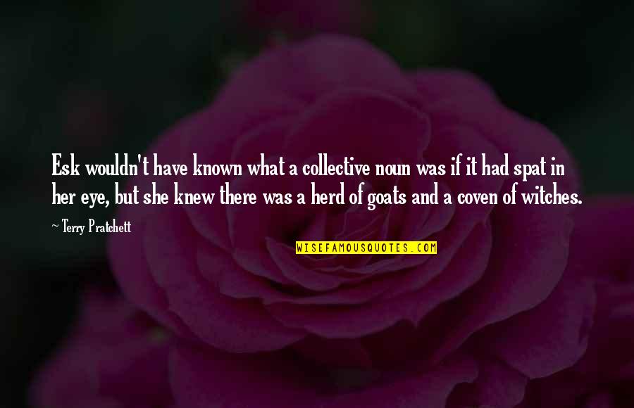 Goats'll Quotes By Terry Pratchett: Esk wouldn't have known what a collective noun Goats'll Quotes By Terry Pratchett: Esk wouldn't have known what a collective noun