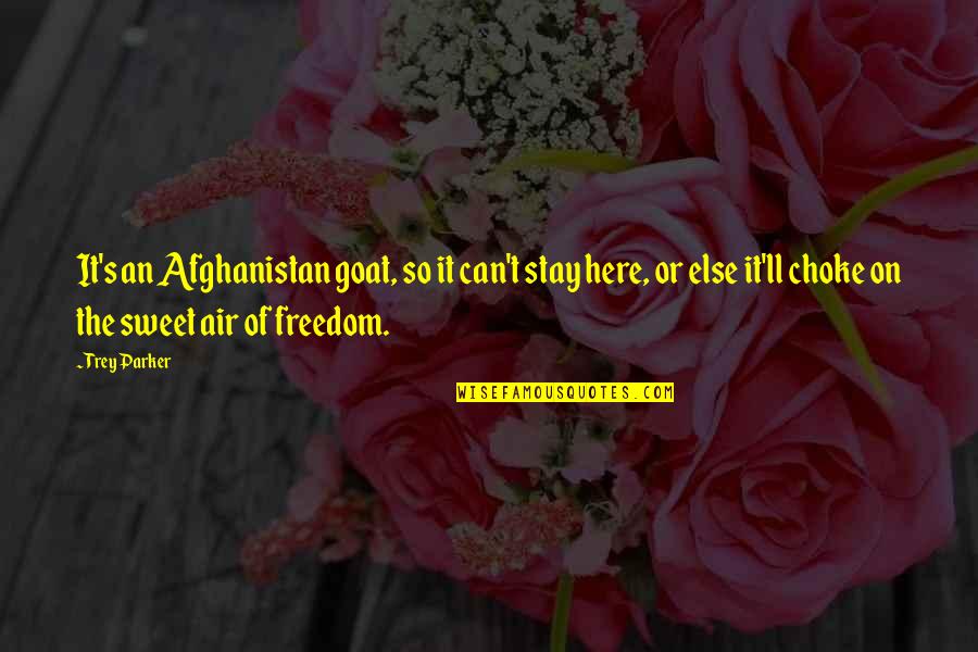 Goats'll Quotes By Trey Parker: It's an Afghanistan goat, so it can't stay Goats'll Quotes By Trey Parker: It's an Afghanistan goat, so it can't stay