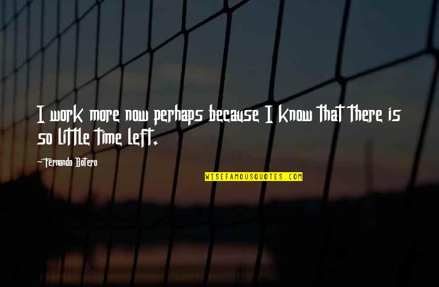 Gobbledegook Quotes By Fernando Botero: I work more now perhaps because I know