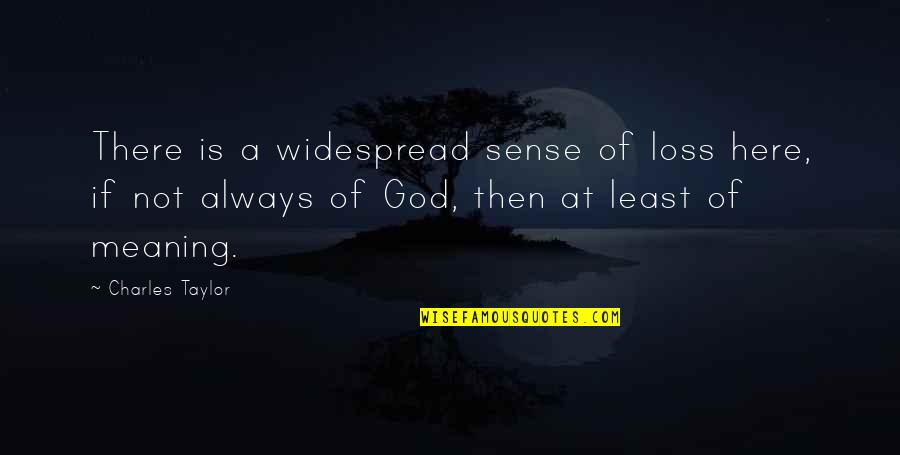 God Always There Quotes By Charles Taylor: There is a widespread sense of loss here,