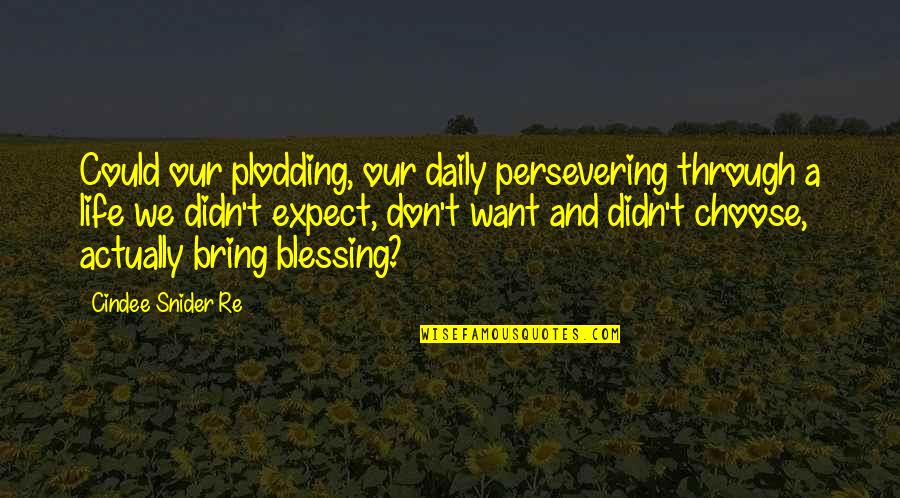 God And Blessing Quotes By Cindee Snider Re: Could our plodding, our daily persevering through a
