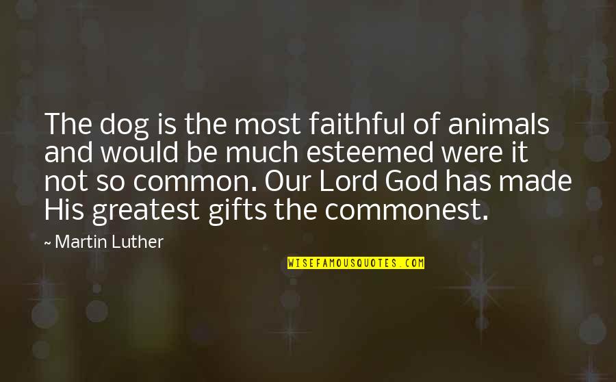 God And Gifts Quotes By Martin Luther: The dog is the most faithful of animals