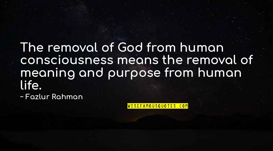 God And Its Meaning Quotes By Fazlur Rahman: The removal of God from human consciousness means God And Its Meaning Quotes By Fazlur Rahman: The removal of God from human consciousness means