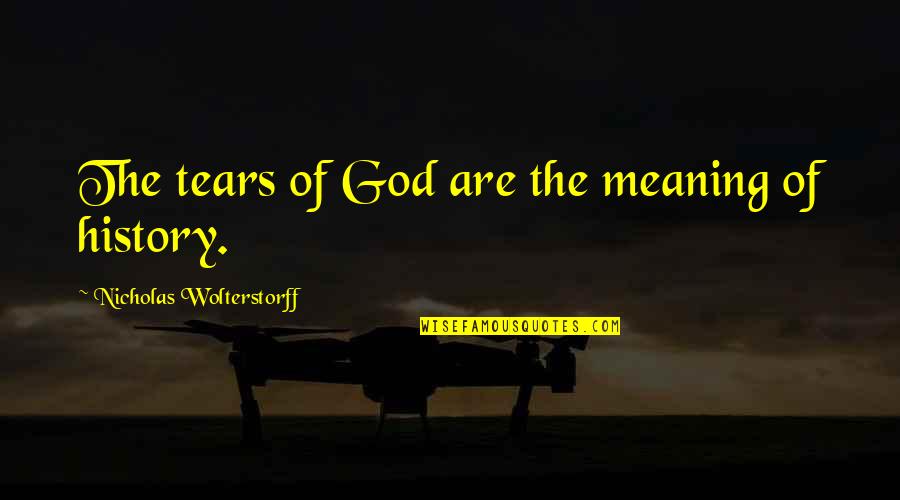 God And Its Meaning Quotes By Nicholas Wolterstorff: The tears of God are the meaning of