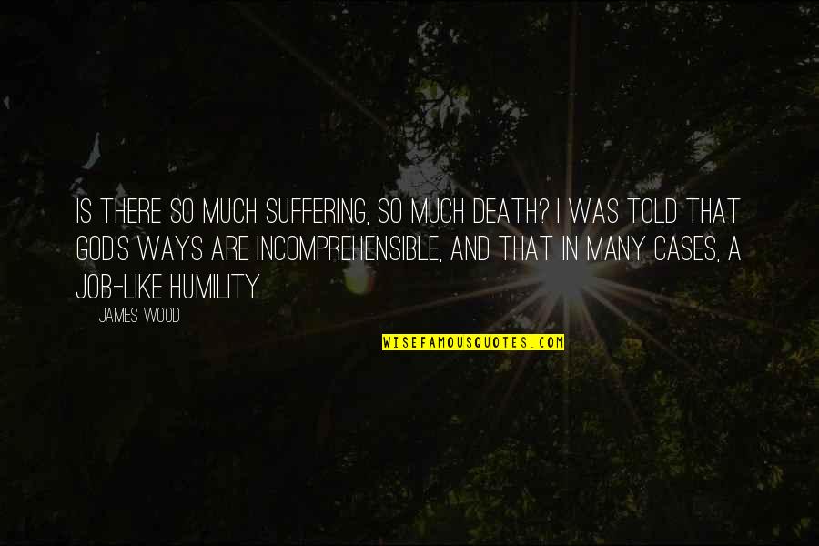 God And Suffering Quotes By James Wood: Is there so much suffering, so much death?