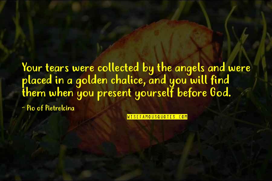 God And Suffering Quotes By Pio Of Pietrelcina: Your tears were collected by the angels and