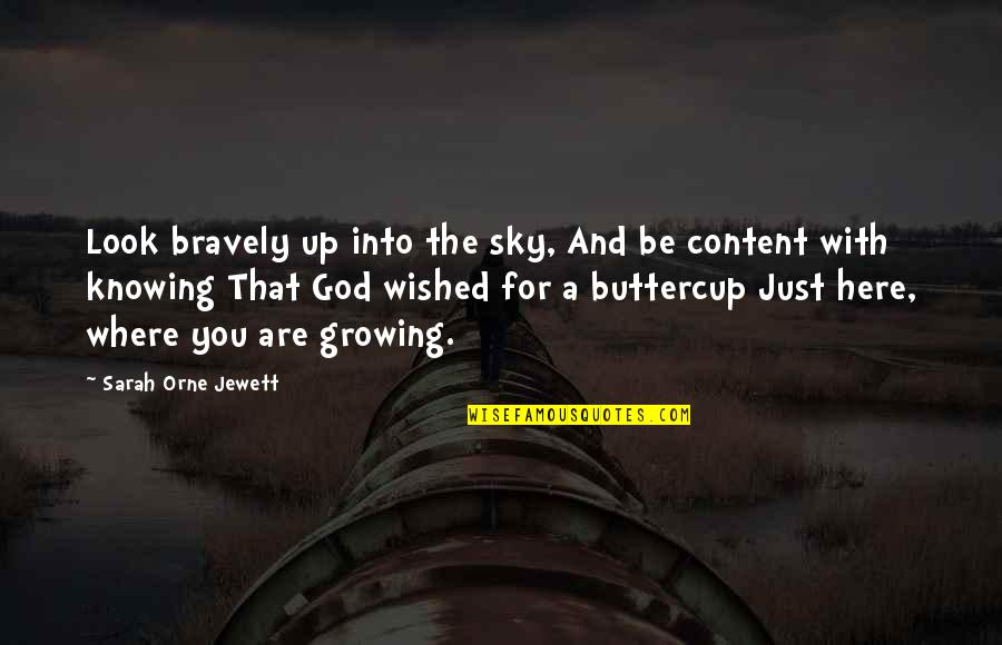 God And The Sky Quotes By Sarah Orne Jewett: Look bravely up into the sky, And be God And The Sky Quotes By Sarah Orne Jewett: Look bravely up into the sky, And be