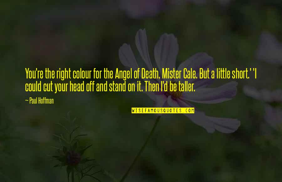 God Angel Quotes By Paul Hoffman: You're the right colour for the Angel of