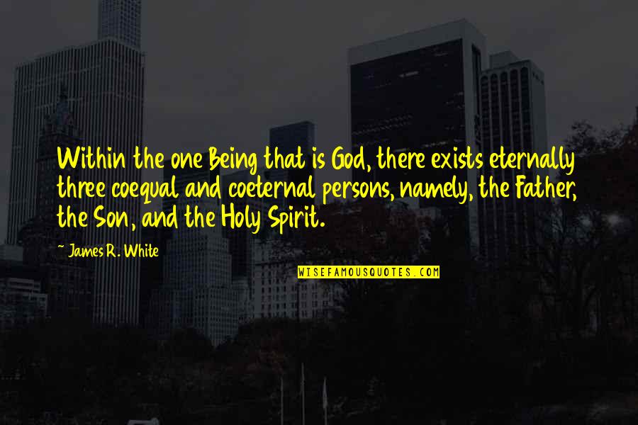 God Being My Father Quotes By James R. White: Within the one Being that is God, there