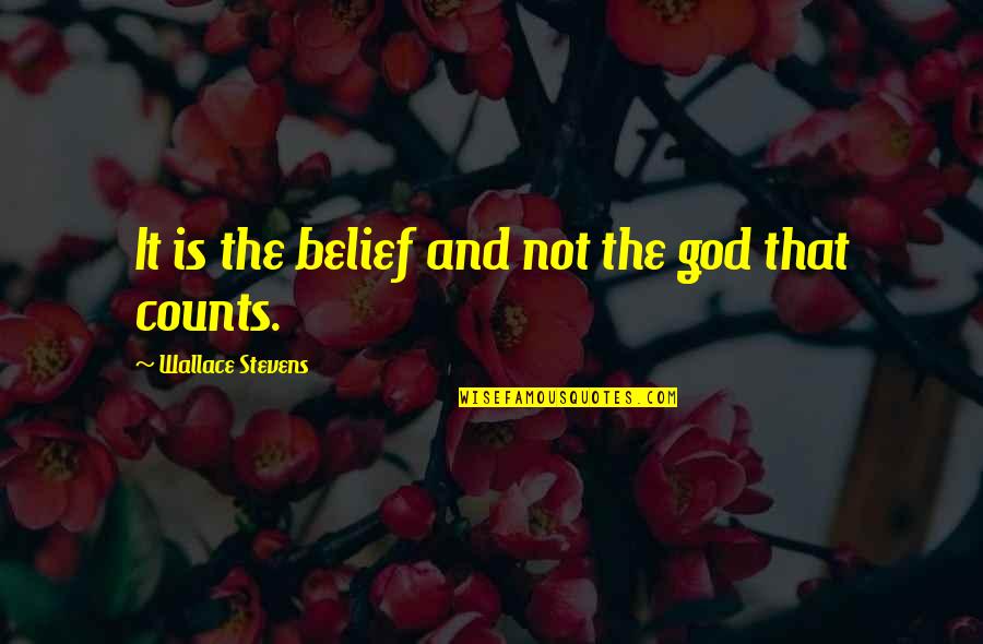 God Belief Quotes By Wallace Stevens: It is the belief and not the god