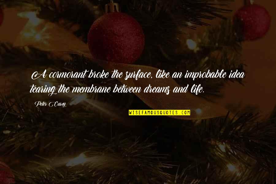 God Bless Me Everyday Quotes By Peter Carey: A cormorant broke the surface, like an improbable God Bless Me Everyday Quotes By Peter Carey: A cormorant broke the surface, like an improbable