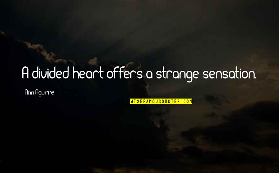 God Bless Me With You Quotes By Ann Aguirre: A divided heart offers a strange sensation.