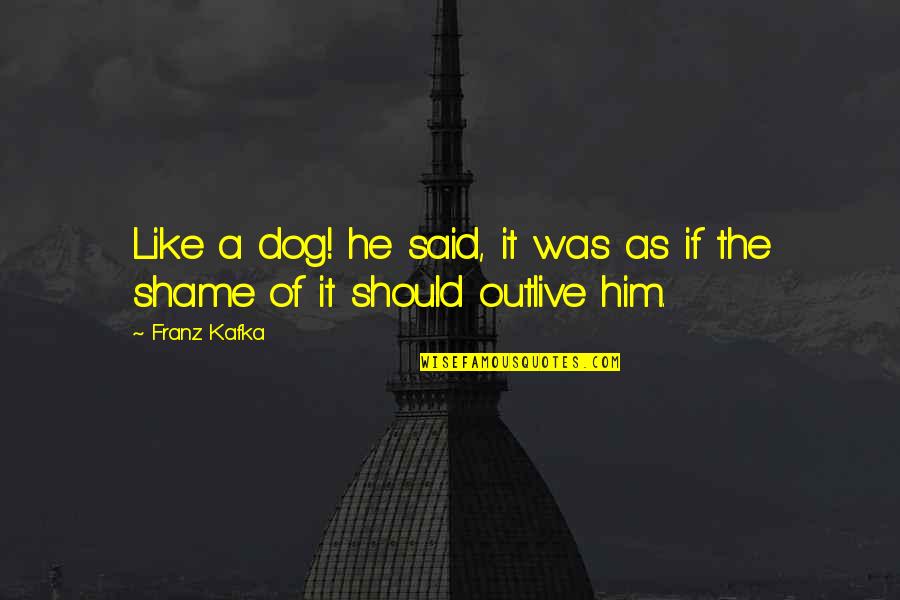 God Blessed Me With My Son Quotes By Franz Kafka: Like a dog! he said, it was as