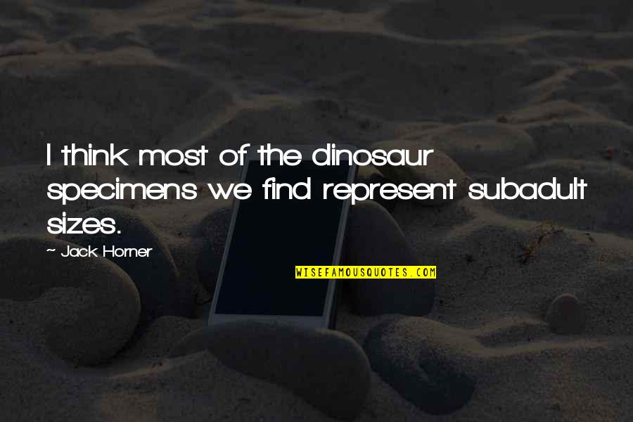 God Brings Storms Quotes By Jack Horner: I think most of the dinosaur specimens we
