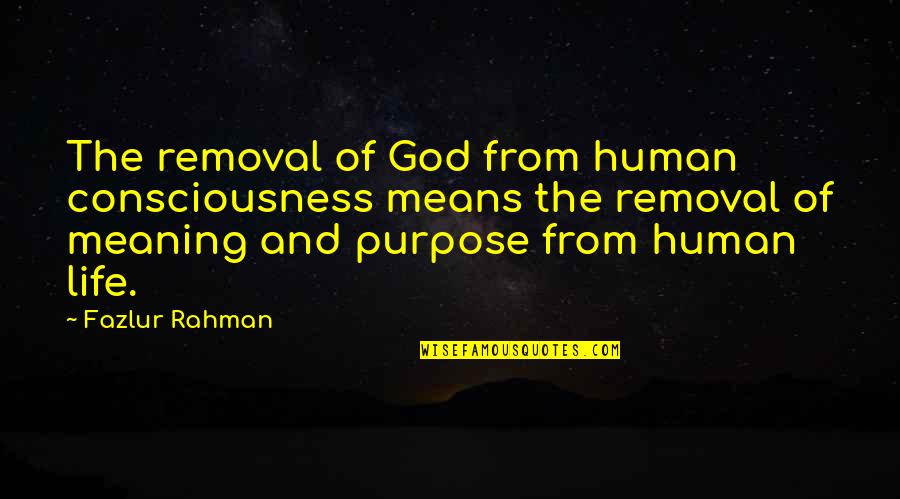 God Consciousness Quotes By Fazlur Rahman: The removal of God from human consciousness means