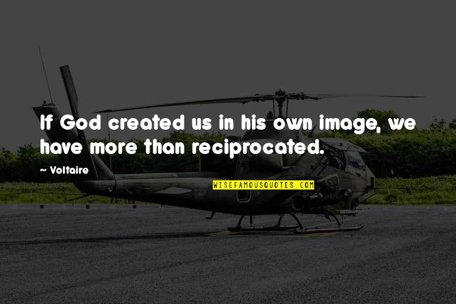 God Created Quotes By Voltaire: If God created us in his own image,