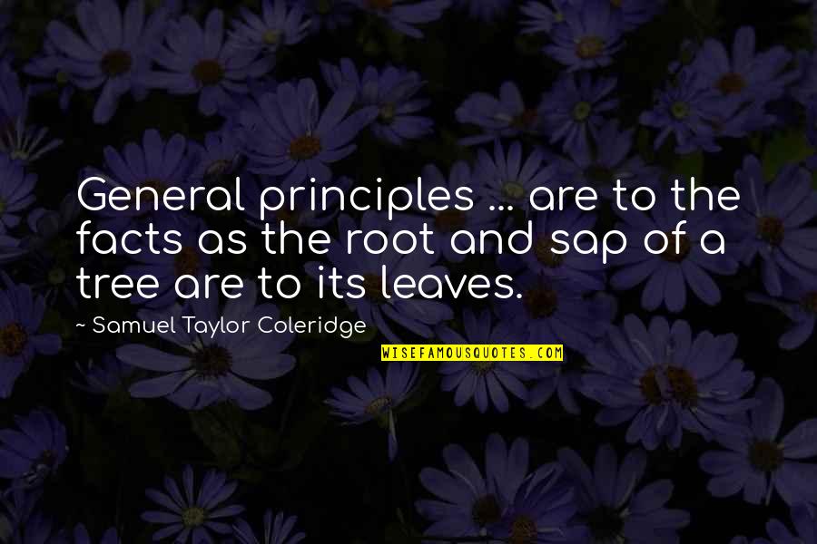 God Created The Universe Quotes By Samuel Taylor Coleridge: General principles ... are to the facts as