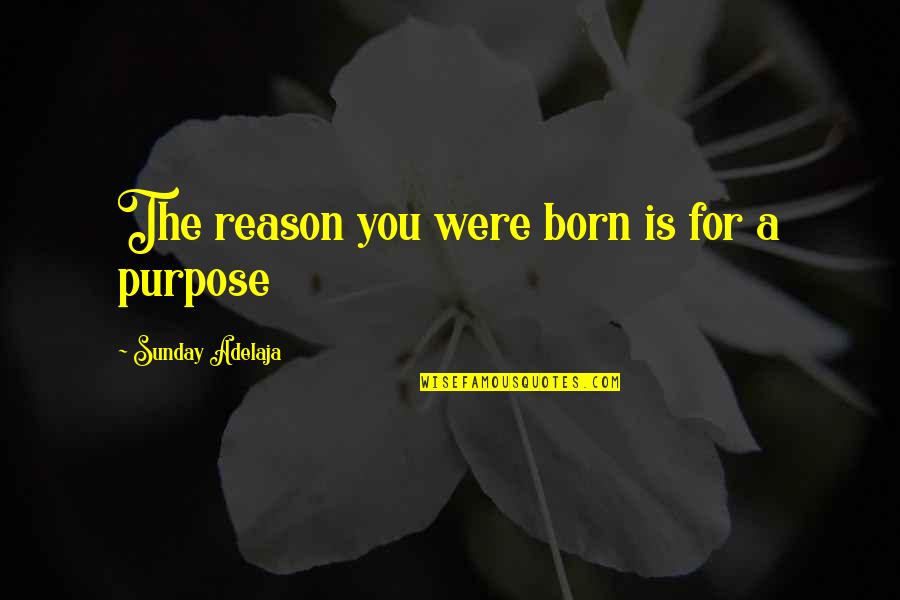 God Creator Quotes By Sunday Adelaja: The reason you were born is for a